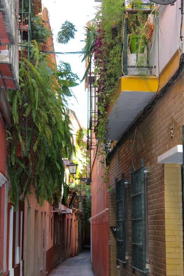 Green Street Севилья Экстерьер фото